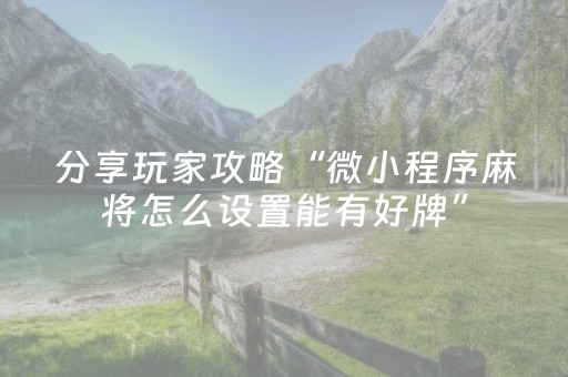 分享玩家攻略“微小程序麻将怎么设置能有好牌”（攻略插件)