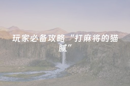 玩家必备攻略“打麻将的猫腻”（攻略插件)