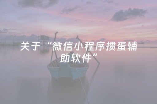 关于“微信小程序掼蛋辅助软件”（软挂神器)