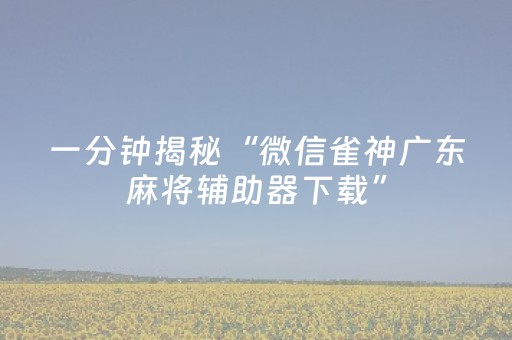 一分钟揭秘“微信雀神广东麻将辅助器下载”（输赢规律)