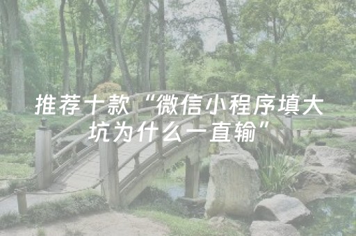 推荐十款“微信小程序填大坑为什么一直输”（辅助神器免费)