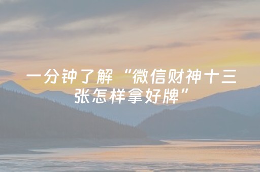 一分钟了解“微信财神十三张怎样拿好牌”（软挂神器)