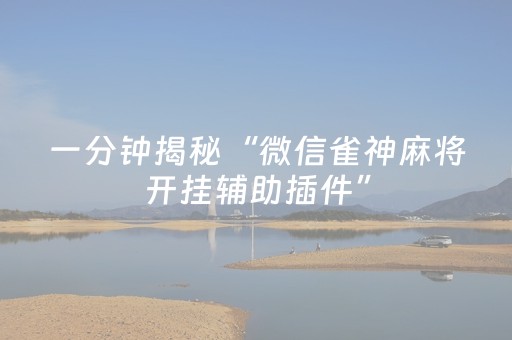 一分钟揭秘“微信雀神麻将开挂辅助插件”（充值会提高胜率么)