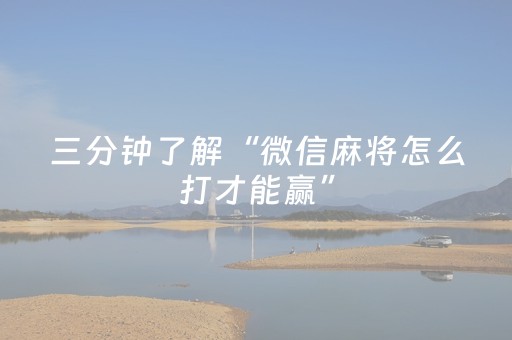 三分钟了解“微信麻将怎么打才能赢”（做弊器软件下载)