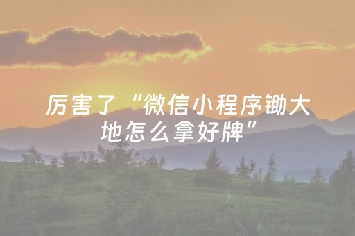 厉害了“微信小程序锄大地怎么拿好牌”（神器通用版)