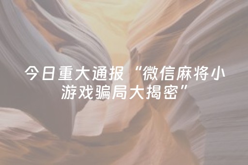 今日重大通报“微信麻将小游戏骗局大揭密”（软件出售)