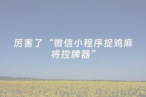 厉害了“微信小程序捉鸡麻将控牌器”（万能开挂器)
