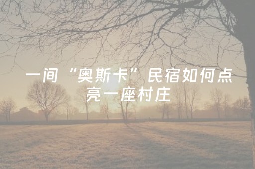 一间“奥斯卡”民宿如何点亮一座村庄