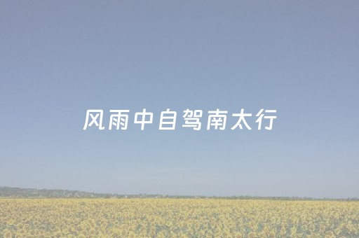 终于懂了“微信小程序保皇自建房怎么拿好牌”（怎么才会赢)