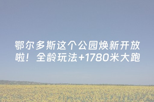 2分钟秒懂“麻将控牌神器”（充会员胜率高)