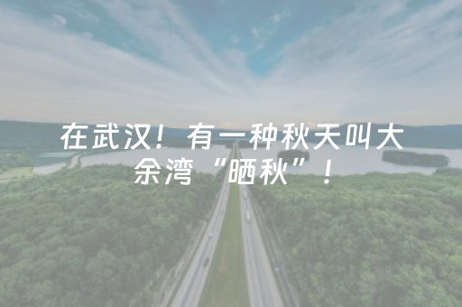 必备攻略“微信小程序家乡麻将助赢神器”（开挂辅助器插件)
