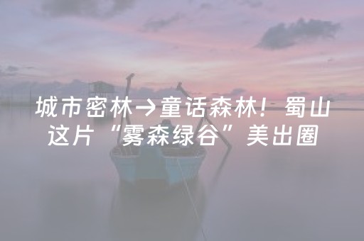 一分钟了解“打麻将的猫腻”（透明挂辅助器)
