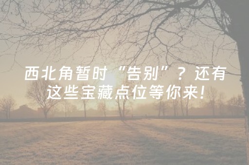 玩家必备十款“财神十三张赢分攻略”（怎么才会赢)