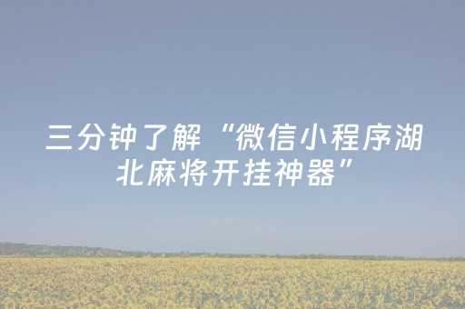 三分钟了解“微信小程序湖北麻将开挂神器”（开挂辅助脚本)