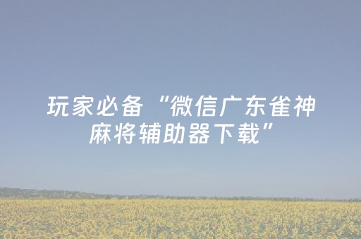 玩家必备“微信广东雀神麻将辅助器下载”（赢的技巧规律)