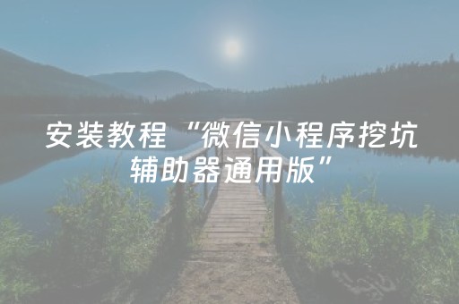 安装教程“微信小程序挖坑辅助器通用版”（辅助挂发牌规律)