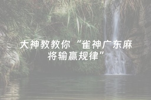 大神教教你“雀神广东麻将输赢规律”（辅助器插件)