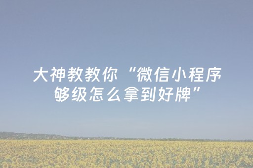 大神教教你“微信小程序够级怎么拿到好牌”（透明器教程)