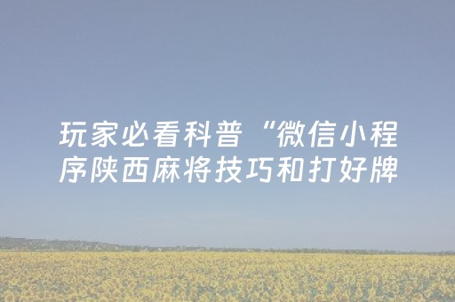 玩家必看科普“微信小程序陕西麻将技巧和打好牌方法”（攻略插件)