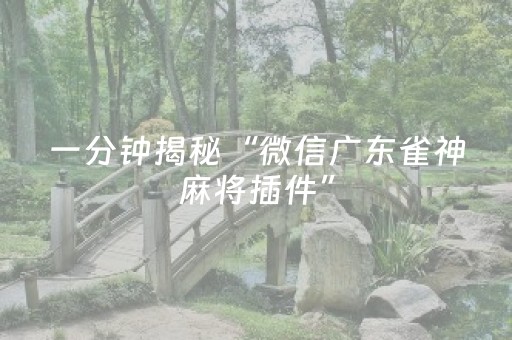 一分钟揭秘“微信广东雀神麻将插件”（发牌有什么规律吗)