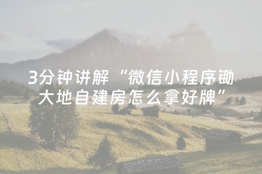 3分钟讲解“微信小程序锄大地自建房怎么拿好牌”（神器最新免费)