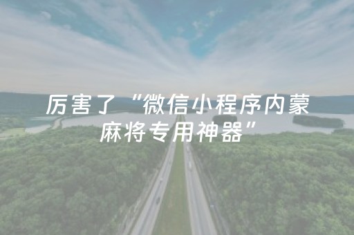厉害了“微信小程序内蒙麻将专用神器”（规律确实有挂)