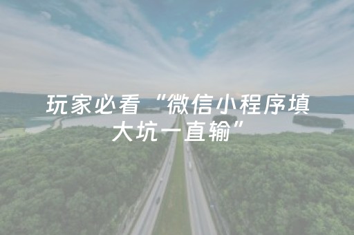 玩家必看“微信小程序填大坑一直输”（开挂辅助插件)