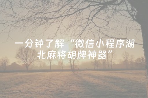 一分钟了解“微信小程序湖北麻将胡牌神器”（怎么设置能有好牌)
