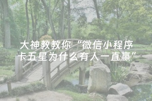 大神教教你“微信小程序卡五星为什么有人一直赢”（外辅工具)