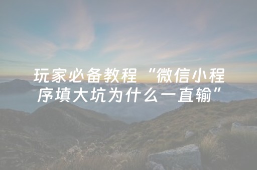 玩家必备教程“微信小程序填大坑为什么一直输”（通用挂软件多少钱)