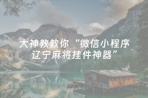 大神教教你“微信小程序辽宁麻将挂件神器”（辅助软件)