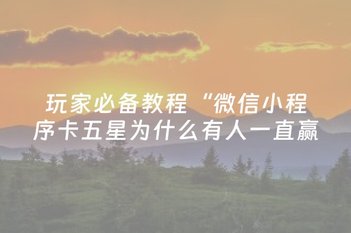 玩家必备教程“微信小程序卡五星为什么有人一直赢”（必赢神器辅助器)
