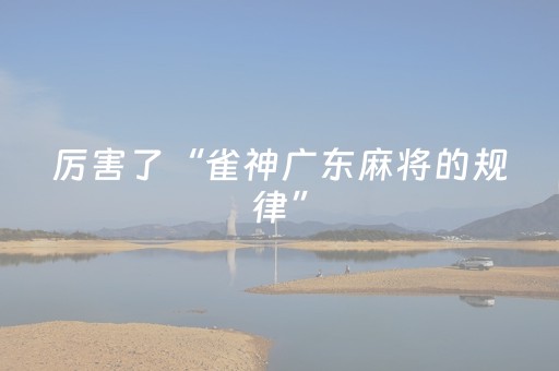 厉害了“雀神广东麻将的规律”（有没有猫腻)