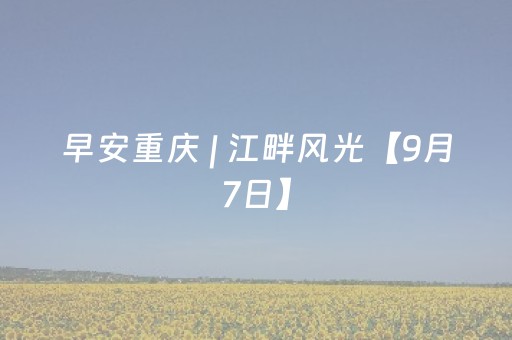 黑料“微信小程序四川麻将胡牌神器”（控牌器)