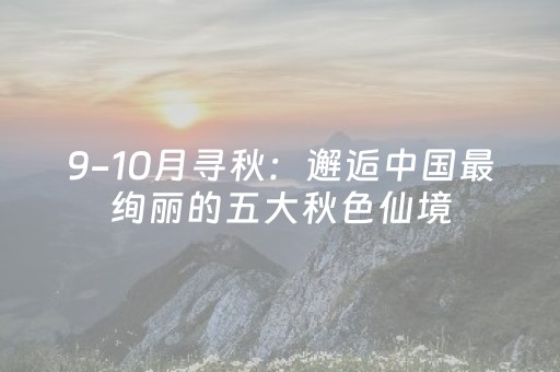 厉害了“财神十三张究竟有挂吗”（做弊器软件下载)