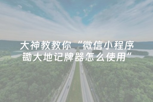 大神教教你“微信小程序锄大地记牌器怎么使用”（透明挂辅助器)