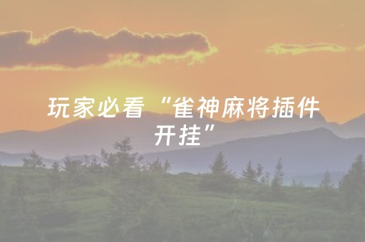 玩家必看“雀神麻将插件开挂”（可以设置输赢吗)