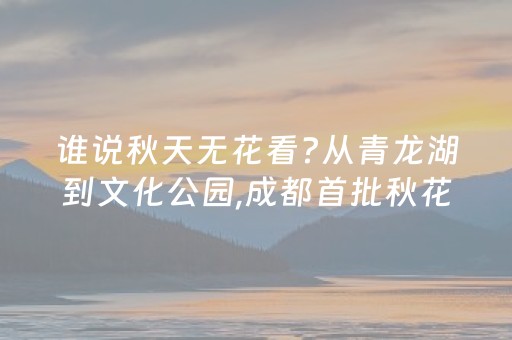 玩家必看“微信小程序龙江麻将有什么规律”（插件可信吗)