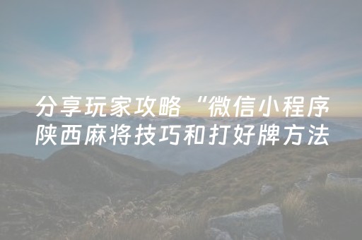 分享玩家攻略“微信小程序陕西麻将技巧和打好牌方法”（插件可信吗)