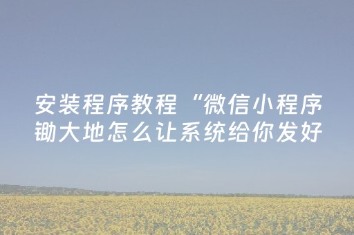 安装程序教程“微信小程序锄大地怎么让系统给你发好牌”（怎么设置能有好牌)