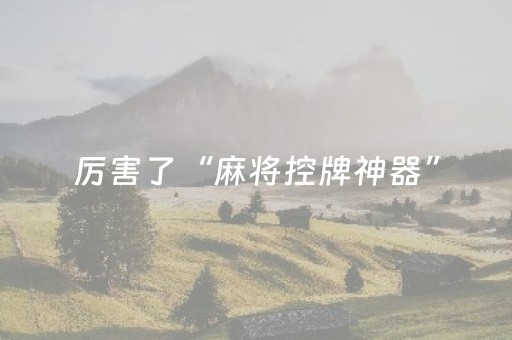 厉害了“麻将控牌神器”（开挂辅助脚本)