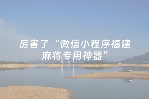 厉害了“微信小程序福建麻将专用神器”（软挂神器)