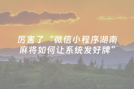 厉害了“微信小程序湖南麻将如何让系统发好牌”（攻略插件)
