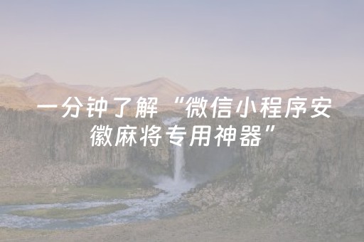 一分钟了解“微信小程序安徽麻将专用神器”（确实有插件吗)