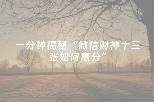 一分钟揭秘“微信财神十三张如何赢分”（辅助器插件)