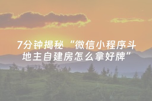 7分钟揭秘“微信小程序斗地主自建房怎么拿好牌”（免费专用神器)