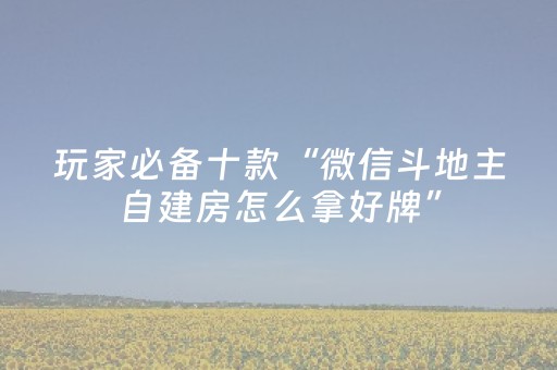 玩家必备十款“微信斗地主自建房怎么拿好牌”（怎么控制输赢)
