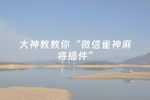 大神教教你“微信雀神麻将插件”（助赢神器)