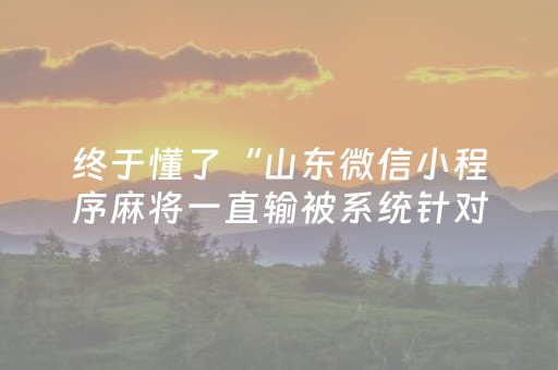 终于懂了“山东微信小程序麻将一直输被系统针对了吗”（万能开挂器)