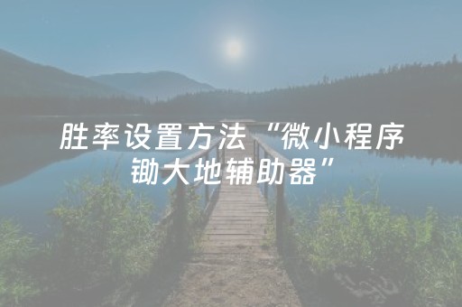 胜率设置方法“微小程序锄大地辅助器”（提高胜率软件)
